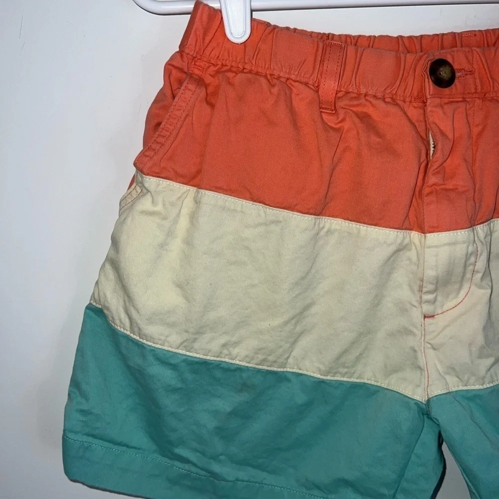 Chubbies Swim Shorts